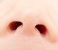 Baby nose Royalty Free Stock Photo