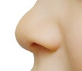 Baby nose Royalty Free Stock Photo