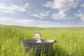 Baby in an old vintage bathrub, outdoors Royalty Free Stock Photo