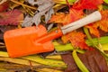 Baby orange shovel on autumn leaves