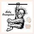 Baby orangutan hanging on a branch vector illustration