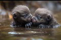 baby otters swimming together in the open water, with their tiny paws intertwined Royalty Free Stock Photo