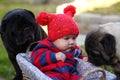 Baby outdoors with pugs Royalty Free Stock Photo