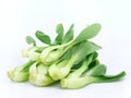 Baby pak choi Royalty Free Stock Photo