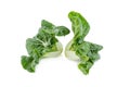 Baby pak choi on a white background