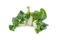 Baby pak choi on a white background Royalty Free Stock Photo