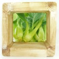 Baby pak choi Royalty Free Stock Photo