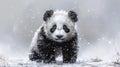 a baby panda, its distinctive black and white markings rendered in soft watercolors Royalty Free Stock Photo