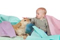 Baby patting the family dog Royalty Free Stock Photo