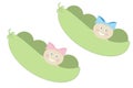 Baby Peapods