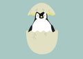 Baby Penguin Royalty Free Stock Photo