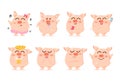 Baby Pig, characters, cute cartoon collection, Chinese New Year, Year of the pig, vector, isolated on white background