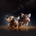 Baby pig piglets playing in mud