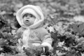 Baby in pile of leaves wearing winter coat