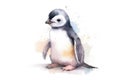 Pinguin Watercolor