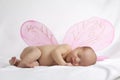 Baby with pink angel wings on white background
