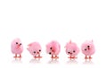 Baby Pink Bird Chicks Royalty Free Stock Photo