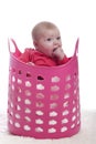 Baby in a pink plastic laundry basket Royalty Free Stock Photo