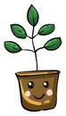 Baby plant, illustration, vector
