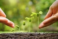 Baby plants seedling Royalty Free Stock Photo