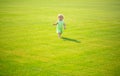 Baby play in green grass. Child development. Adorable little kid walking in an autumn field. Royalty Free Stock Photo