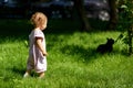 Baby plays with a cat in the park Royalty Free Stock Photo