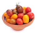 Baby plum tomatoes of different colors Royalty Free Stock Photo