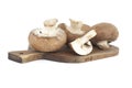 Baby portobellos mushrooms isolated on white Royalty Free Stock Photo
