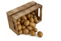 Baby potatoes rolling out of small wooden box, isolated on white Royalty Free Stock Photo