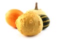 Baby pumpkins isolated