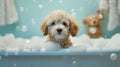 Baby puppy dog taking a bath full of soap foam created with generative AI technology Royalty Free Stock Photo