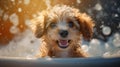 Baby puppy dog taking a bath full of soap foam created with generative AI technology Royalty Free Stock Photo