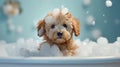 Baby puppy dog taking a bath full of soap foam created with generative AI technology Royalty Free Stock Photo