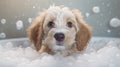 Baby puppy dog taking a bath full of soap foam created with generative AI technology Royalty Free Stock Photo