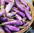 Baby purple and white graffiti eggplant Royalty Free Stock Photo