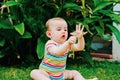 Baby putting in his mouth a flower of a garden, concept of dangers for babies