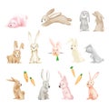 Baby Rabbits Cartoon Posing On White Background Watercolor Illustration Cute Funny Style