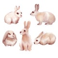 Baby Rabbits Different Posing On White Background Watercolor Illustration Cute Style