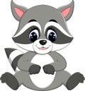 Baby raccoon cartoon