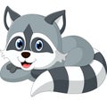 Baby raccoon cartoon Royalty Free Stock Photo