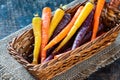 Baby rainbow carrots Royalty Free Stock Photo