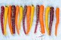 Baby rainbow carrots Royalty Free Stock Photo