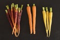 Baby Rainbow Carrots Royalty Free Stock Photo