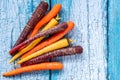 Baby rainbow carrots