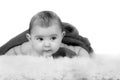 Baby on white background Royalty Free Stock Photo