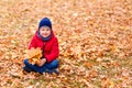 Baby in red jacket sits on yellow maple leaves Royalty Free Stock Photo