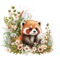 Cute Baby Baby Red Panda Floral, Spring Flowers, illustration ,clipart, isolated on white background