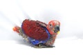Baby red parrot Royalty Free Stock Photo