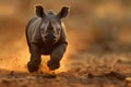 baby rhinoceros running .Generative Ai Royalty Free Stock Photo