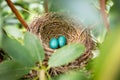 Baby robin eggs